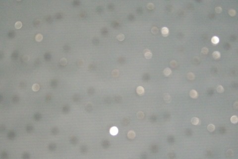 6.Stretch Glitter Mesh